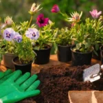 Market Gardening AP Human Geography
